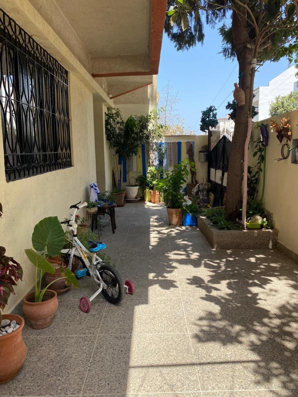 Dar Shamsy Hotel Souani  Luaran gambar