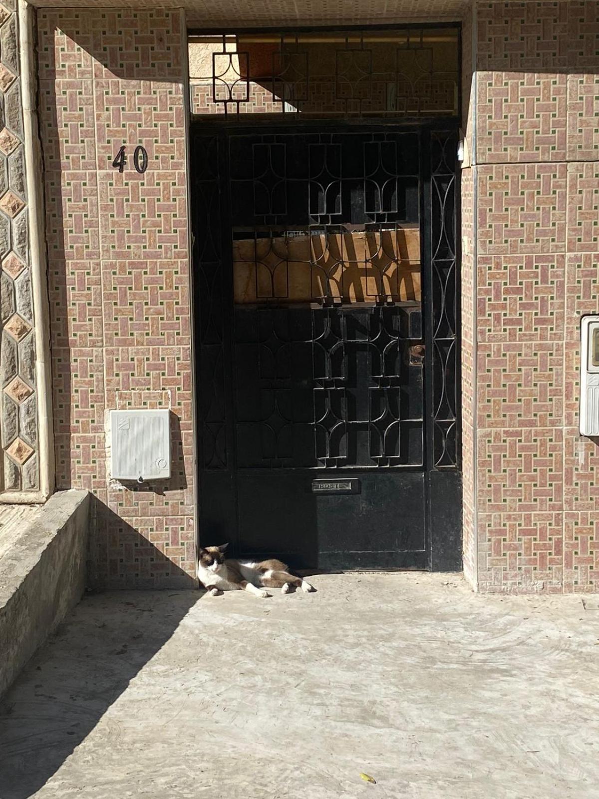 Dar Shamsy Hotel Souani  Luaran gambar